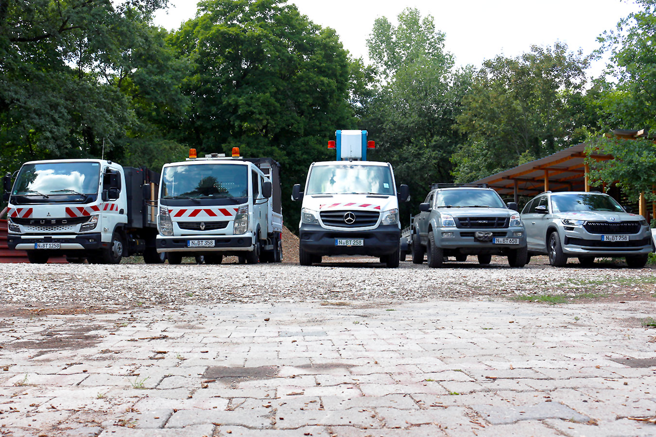 Profis in der Baumpflege