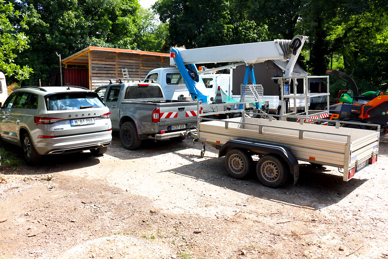 Profis in der Baumpflege